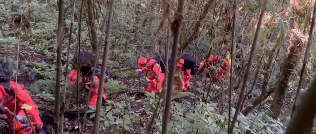 4名遇难地质队员进哀牢山为何穿一次性塑料雨衣？