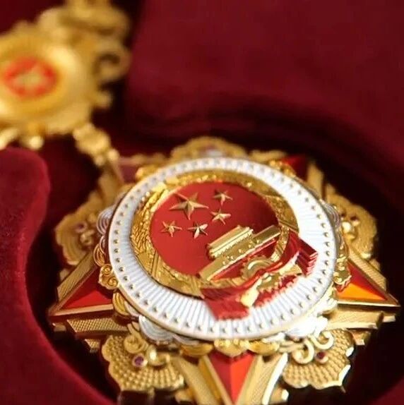 以国之名，致敬抗疫英雄！