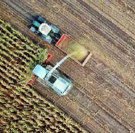 以拼多多为例，中国互联网企业在农业上都做了哪些努力？