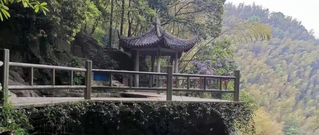 男孩景区撒尿被游客指责踹倒，妈妈与其撕打时坠崖