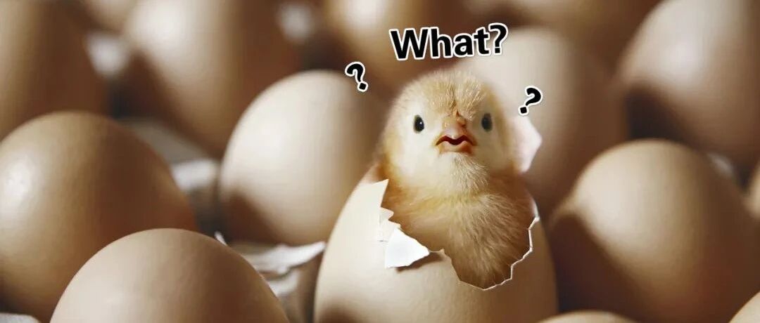 除了“熟蛋孵小鸡”、“熟绿豆返生”…校长还“正准备进行人体实验”