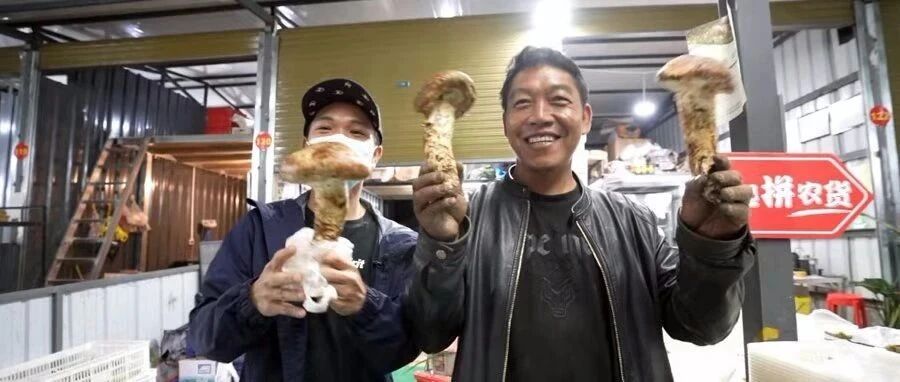 第三届“农货节”正式启动，拼多多重投农业基础设施，助力农货品牌升级