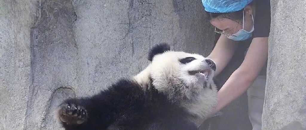 大二女生假期吃到住院！节后焦虑上热搜，肿么办......