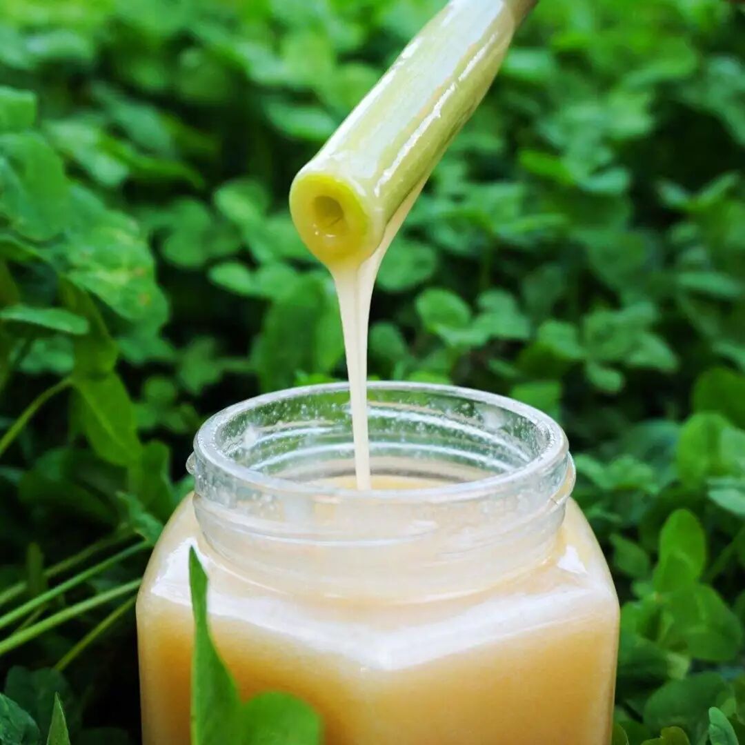 结晶蜂蜜融化后还会结晶吗_结晶融化蜂蜜要多久_蜂蜜结晶了怎么融化