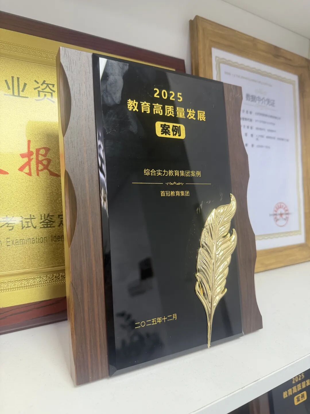 喜报！2025年首冠教育集团荣膺新华网“综合实力教育集团案例”奖，以匠心育标杆，以实力铸辉煌