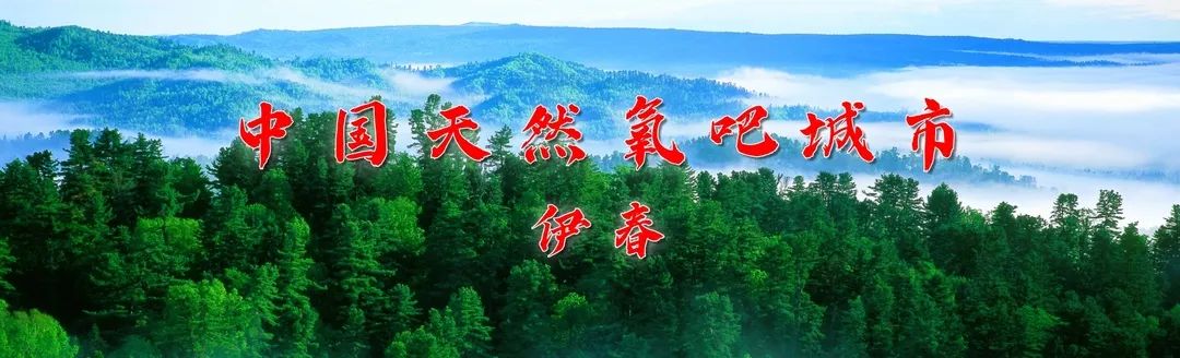 2025年06月08日伊春天气,【6月8日】关注风云变幻 情系阴晴冷暖