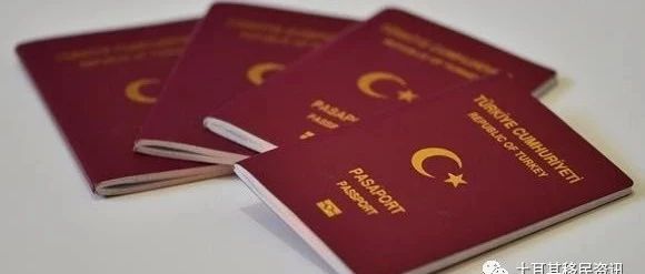 移民攻略|土耳其护照优势解析