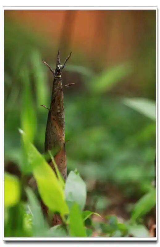 【摄影】这个被春天宠幸的地方，爱了！