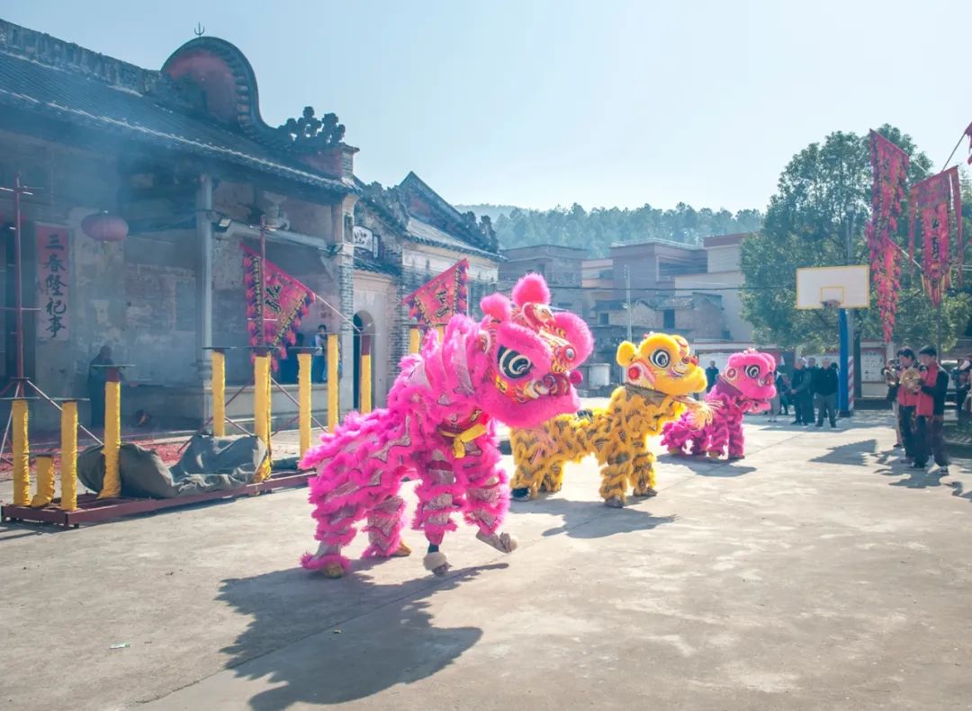 肇庆市广宁县人民政府网站