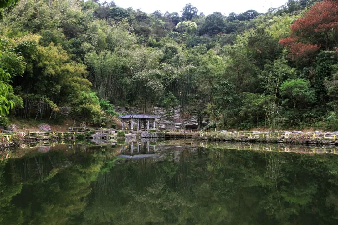 廣寧再添一個國家aaa旅遊景區-肇慶市廣寧縣人民政府網站-手機版