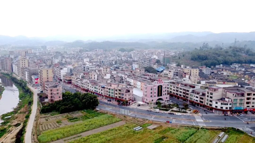 江屯披上"华服盛妆"迎接金黄色的中国农民丰收节-肇庆市广宁县人民