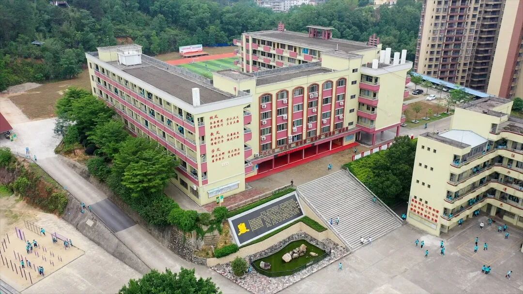 让绿意萌动校园广宁积极推进绿美学校建设