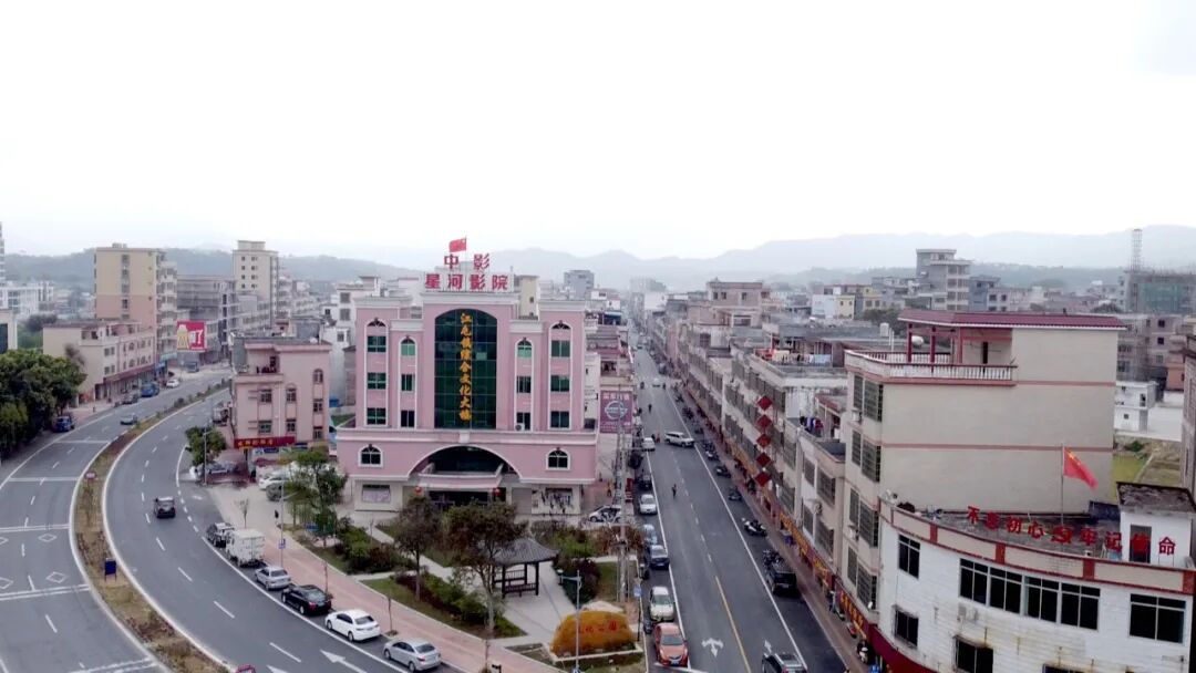 江屯镇党委书记 张志军:以龙须菜,单丛茶为主导产业,全面推动江屯镇的