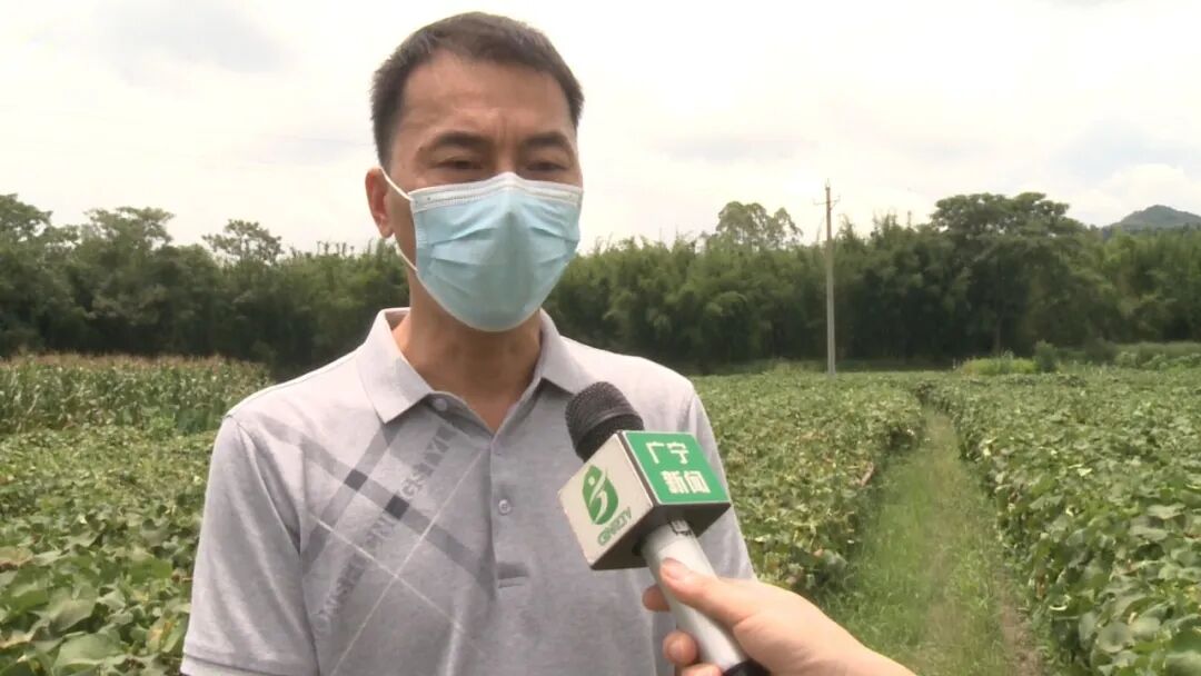 我为党旗添光彩|张志军:坚守初心实干为民-肇庆市广宁县人民政府网站