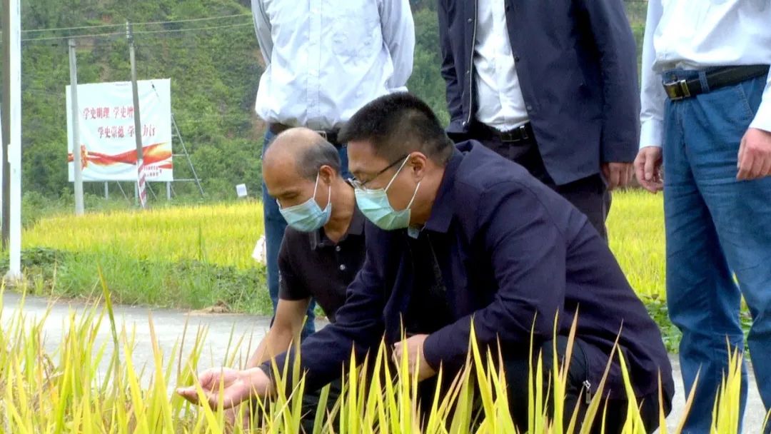 一行先后来到潭布镇潭布社区岩头村,沙屈村,榕树村以及横山镇曾宽村