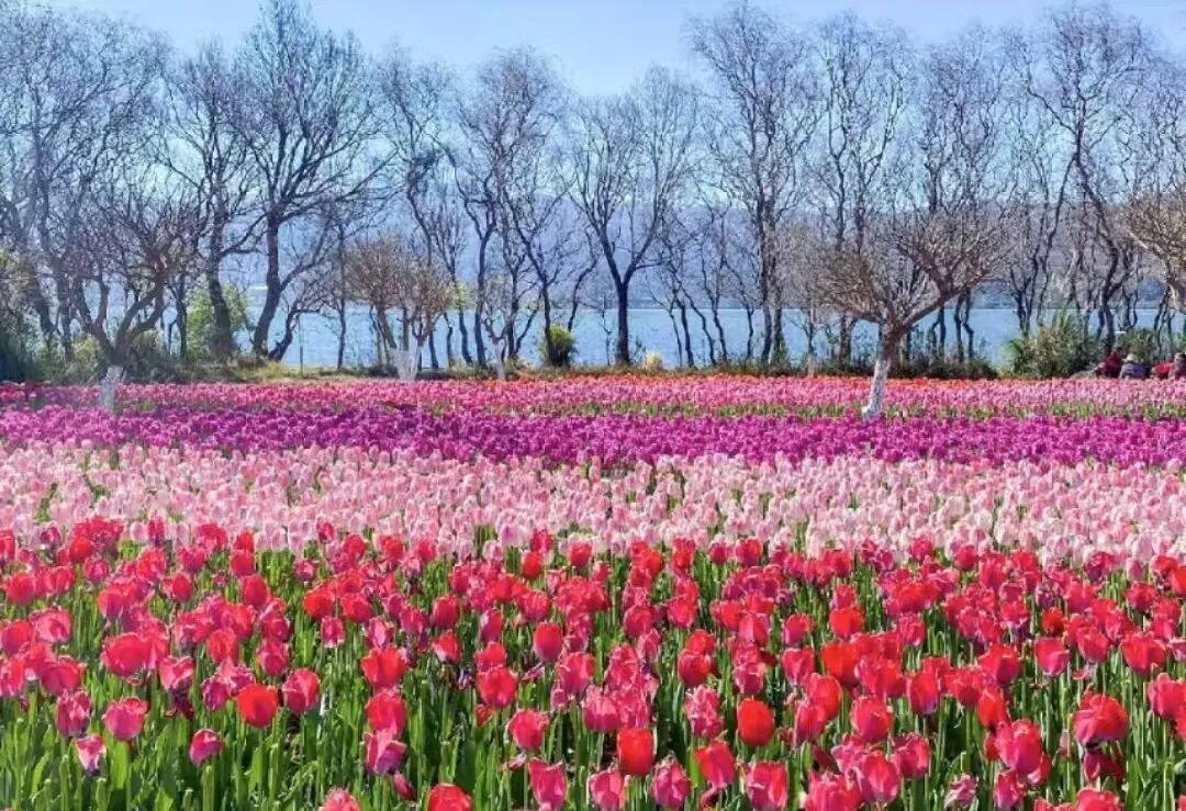 西昌：在邛海波光与泸山翠影间，邂逅一场诗意栖居插图5