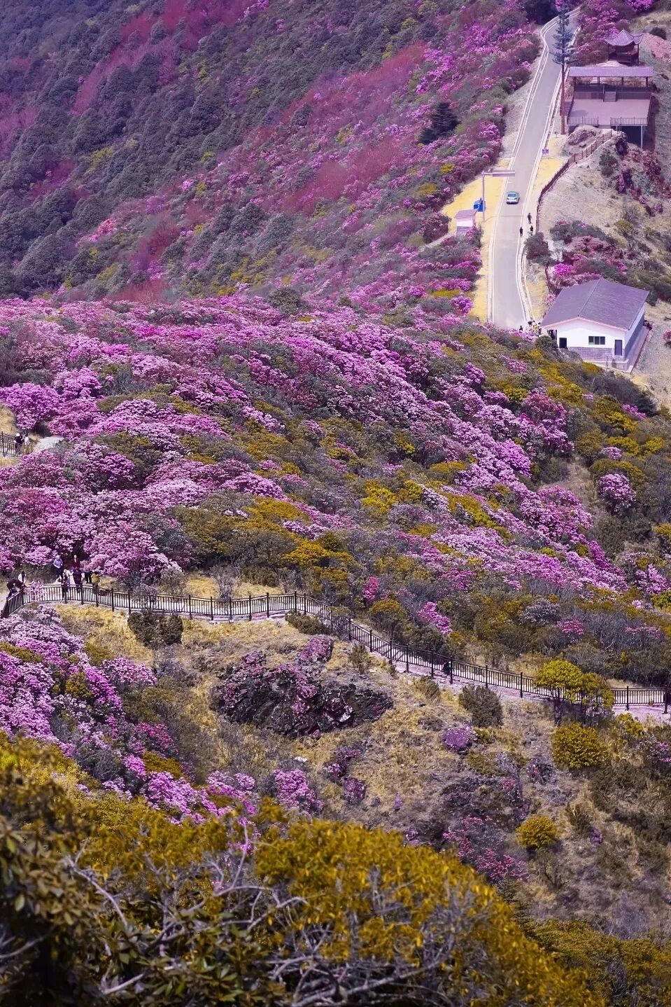会理：千年古城韵，山川人文情，红色星火耀插图