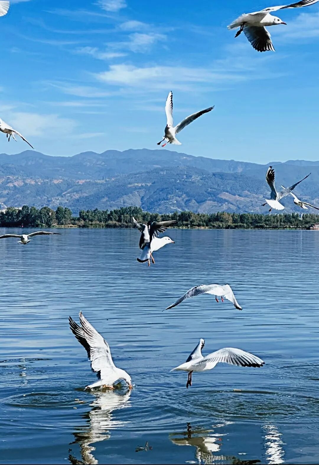 西昌：在邛海波光与泸山翠影间，邂逅一场诗意栖居插图1