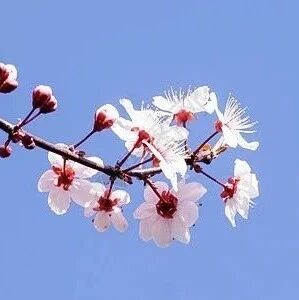 【青春语文·素艳专栏】如何写出氛围感