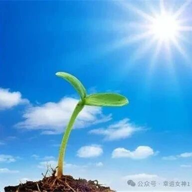 【青春语文·大伟专栏】青春在奋斗中闪光——《青春之光》读写结合活动课设计