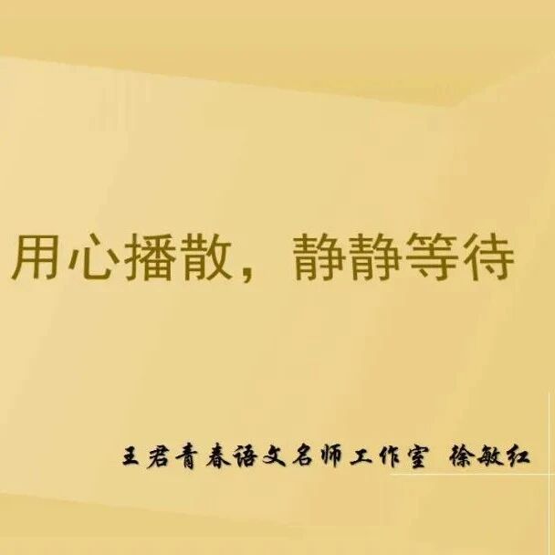 【青春语文•徐敏红课堂研究（56）】徐敏红：用心播撒，静静等待