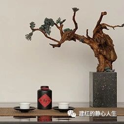 【青春语文·建红专栏】好书可以让自己全力开速（七）