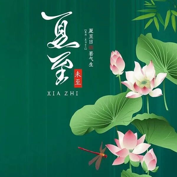 【青春语文·周五读书会】夏至无与适，读书正当时