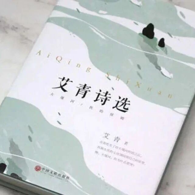 【青春语文·吴凤云整本书阅读研究】走近“大形象”
