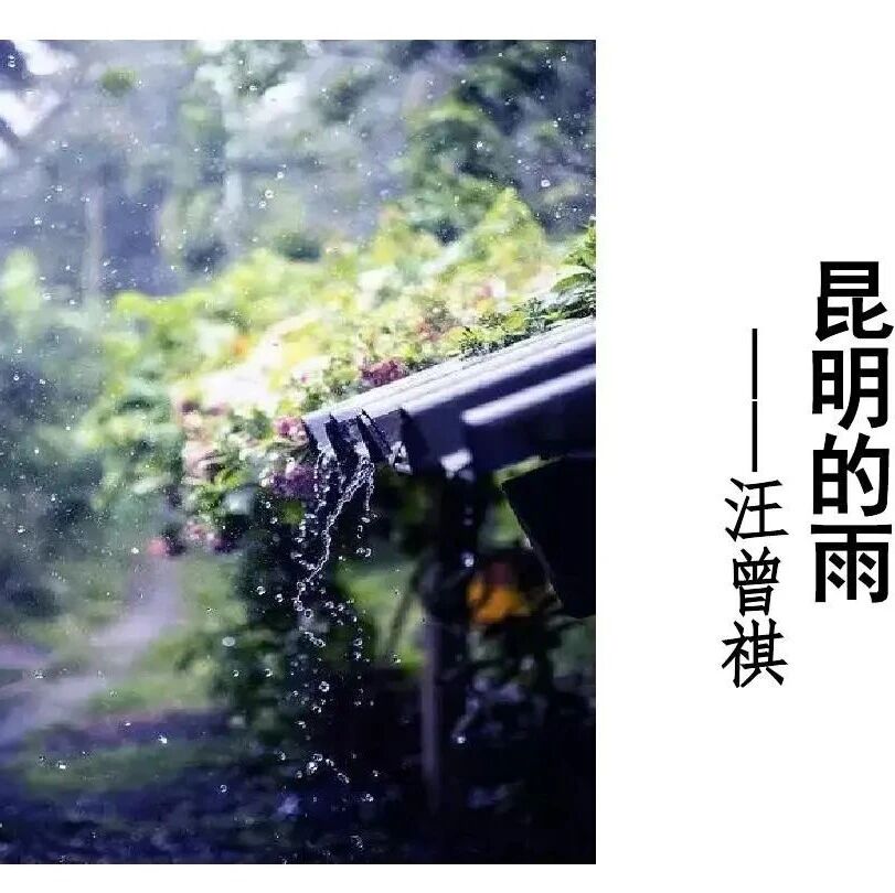 【青春语文·白利专栏】《昆明的雨》创意教学设计---诗意地生活，画意地表达