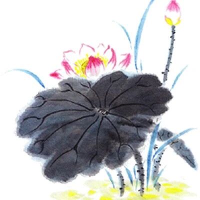 【青春语文·周六读书会】读书点亮生活 书香润泽人生