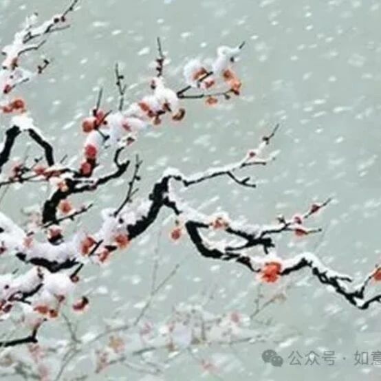 【青春语文·如意专栏】跟着谢太傅学当老师
