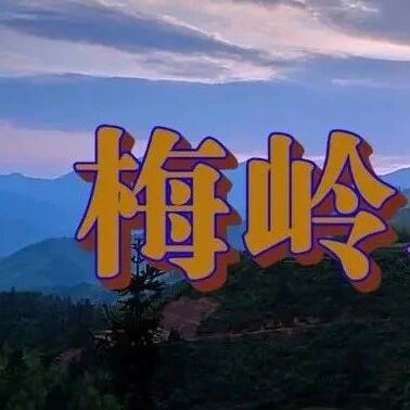 【青春语文·晓东专栏】九下第二课：浩然之气，义薄云天——以“义”字立骨，关于《梅岭三章》的教学设计（内含三段感人视频）