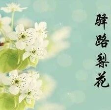 【李佩专栏】一篇得分最高的《驿路梨花》教学设计
