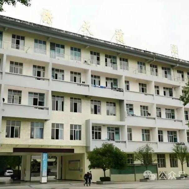【青春语文·杨军宗专栏】你一定仍被爱着