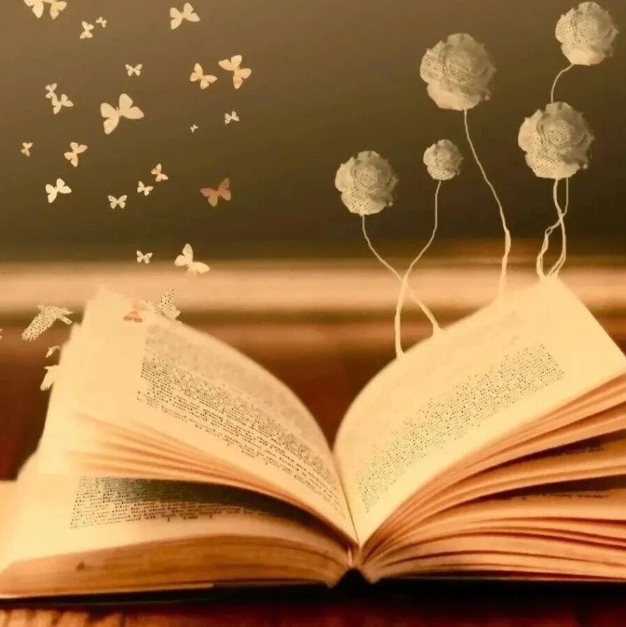 【青春语文•周一读书】阅读是一座随身携带的避难所