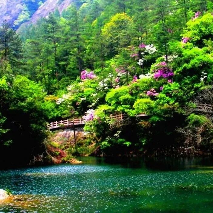 【青春语文·李红玲专栏】第<47>期：升格写作指导——独特的我