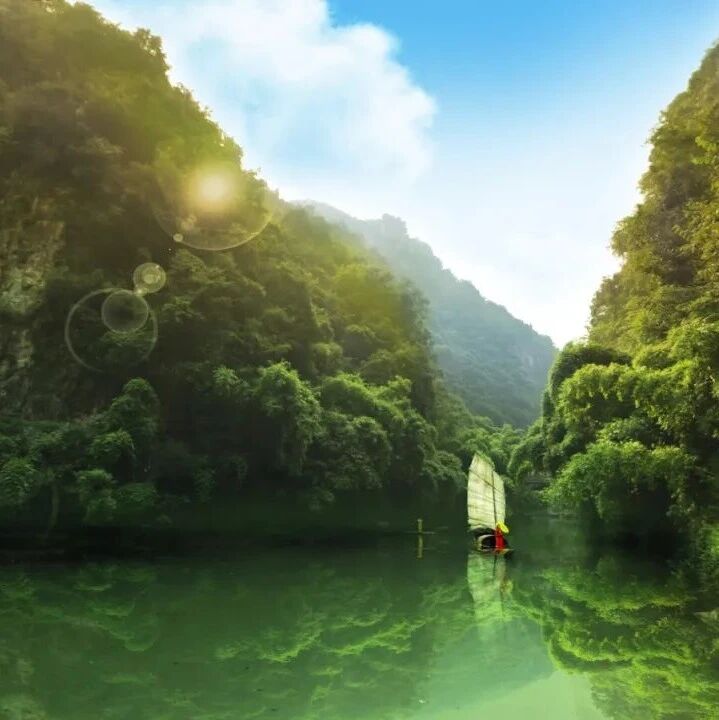 【青春语文·卢望军思想的芦苇】轻舟已过万重山