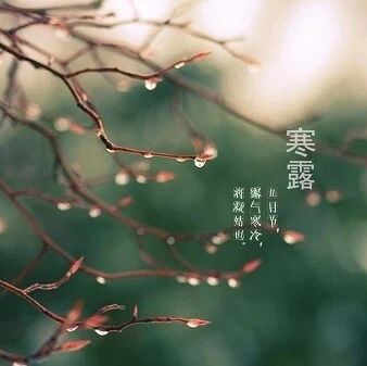 【青春语文·建红专栏】寒露小诗专辑（初三·14班）