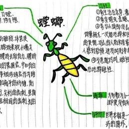 【青春语文·薛丽娜专栏】读名著， 思维导图可以这样用