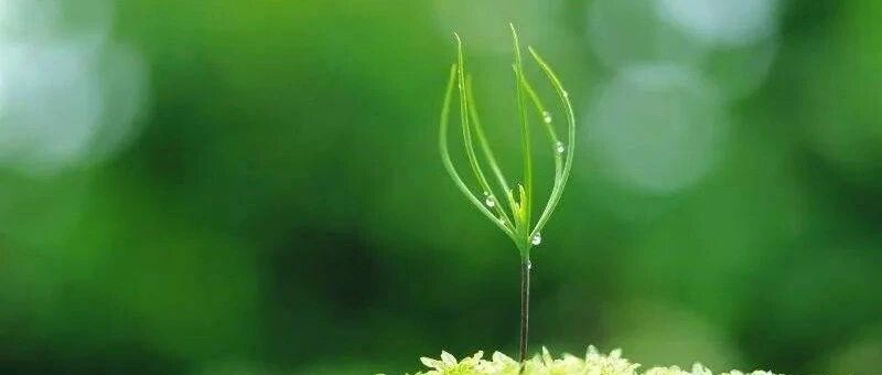 【青春语文·陈丽专栏】八下第一单元口语交际教学——应对的十种打开方式