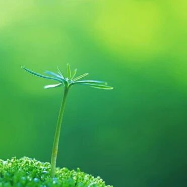 【青春语文·仁超随笔】做一只一直向上爬的蜗牛