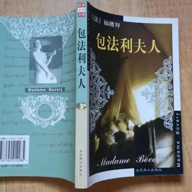 【青春语文.丰婷专栏】跟《包法利夫人》学作文第1期