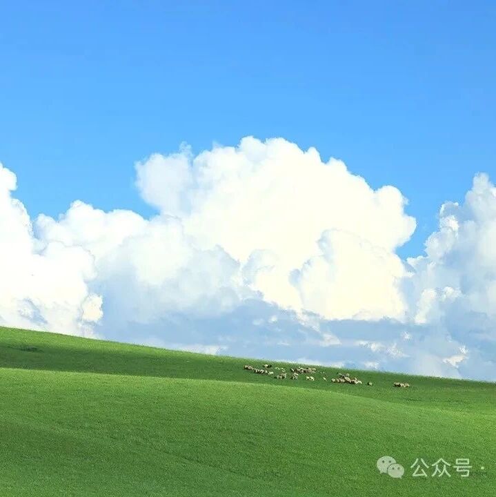 【青春语文·丽君专栏】成长型思维 ——读《终身成长》有感