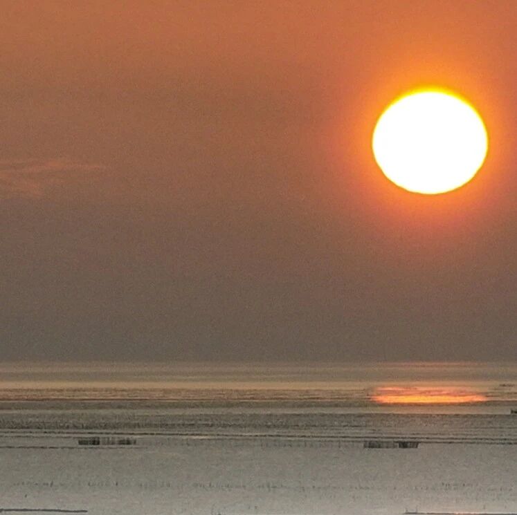 让花成花，让树成树——从注释中解读《诗经》的健康恋爱观