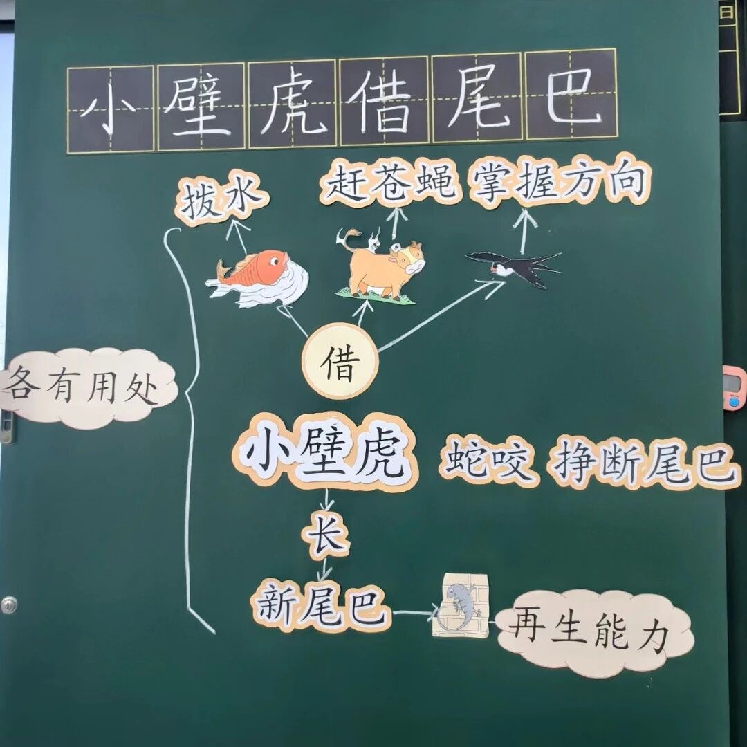 【青春语文·书英专栏】《小壁虎借尾巴》第一课时教学设计