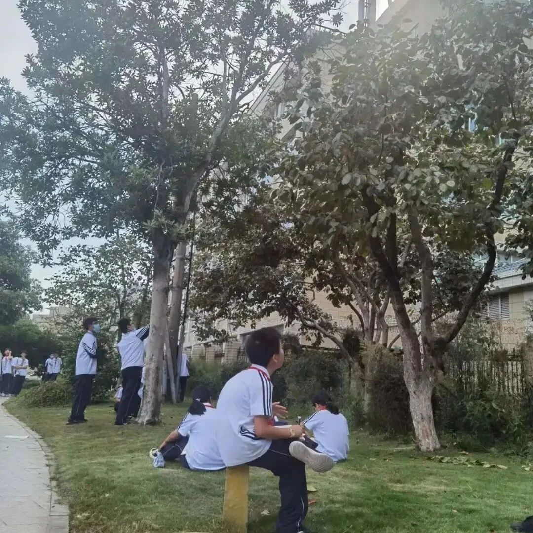 【青春语文·陈净净专栏】 “自然写生”作文训练