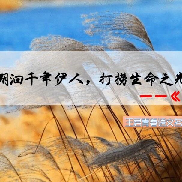 【青春语文·杨静专栏】《蒹葭》——溯洄千年伊人，打捞生命之光