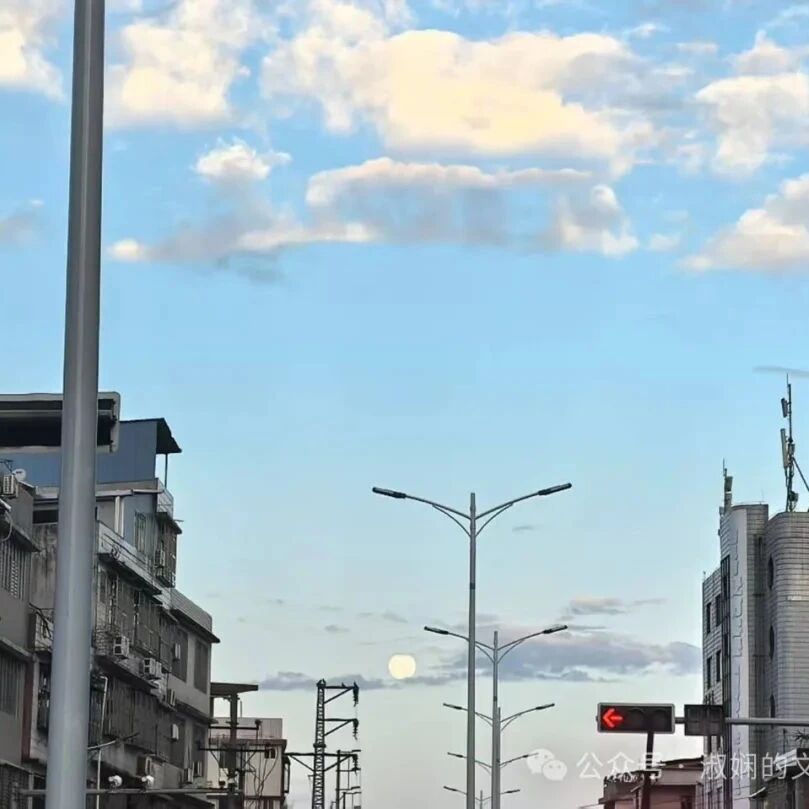 【青春语文·淑娴专栏】那些年等过的红灯