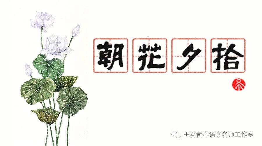 【青春语文 吴凤云整本书阅读研究十六】开掘书册精神价值，引领学生生命成长——评孙秋备老师《朝花夕拾》课例