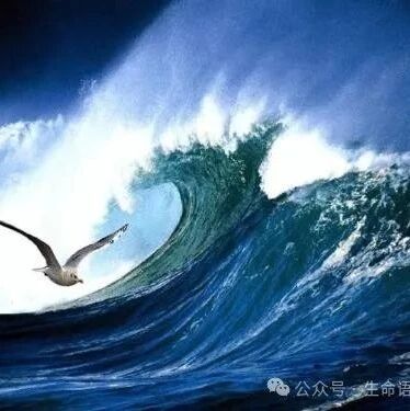 【青春语文·生命的共感】由象及意，自然生成——读《海燕》